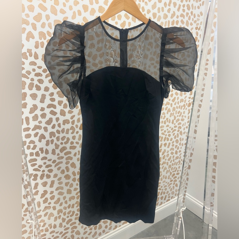 Endless Rose Mesh Bodycon Mini Dress